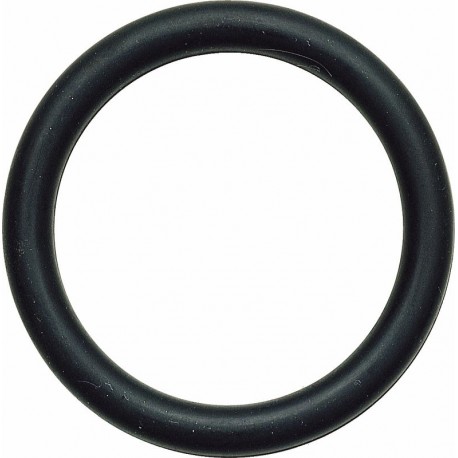 235 MD- Anillo de seguridad